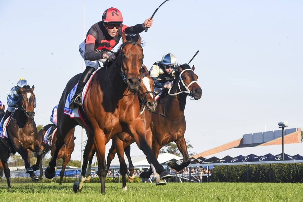 2026 Cameron Handicap winner Fully Lit