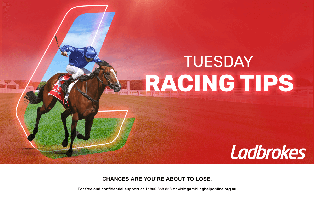 Daily Racing Tips - Boxing Day Special
