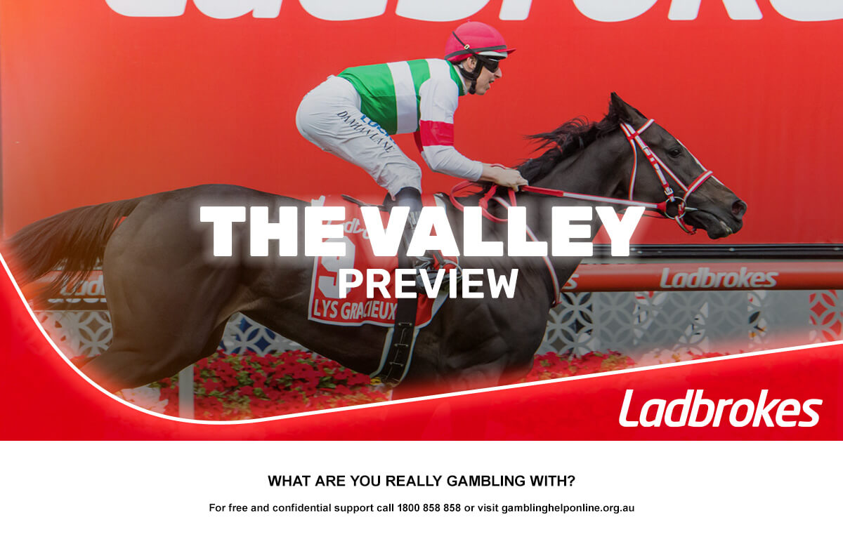Saturday At The Valley Preview