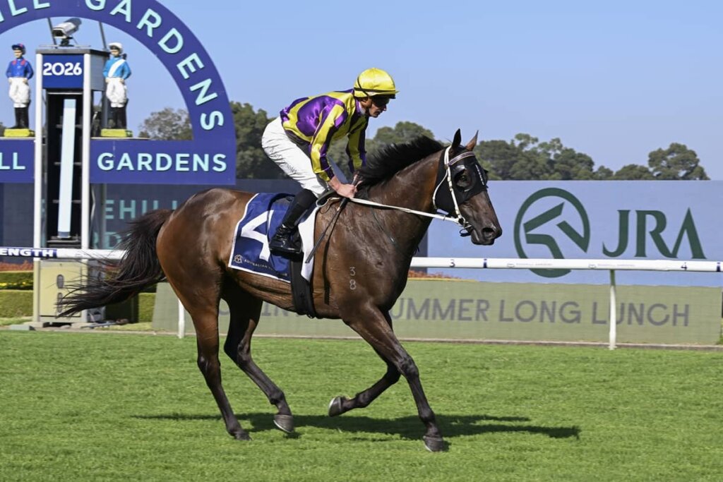 2026 Southern Cross Stakes winner Willaidow