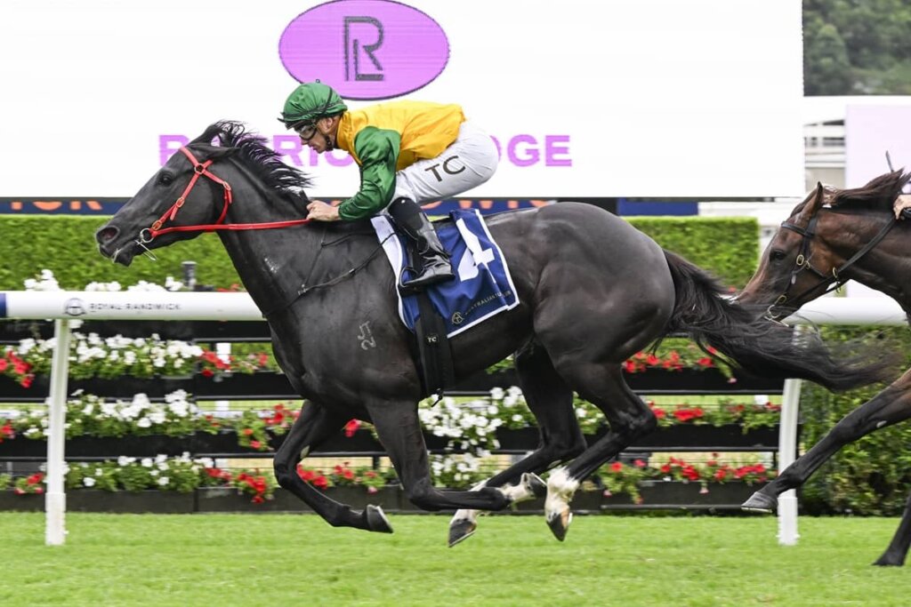 2026 Triscay Stakes winner Weeping Woman