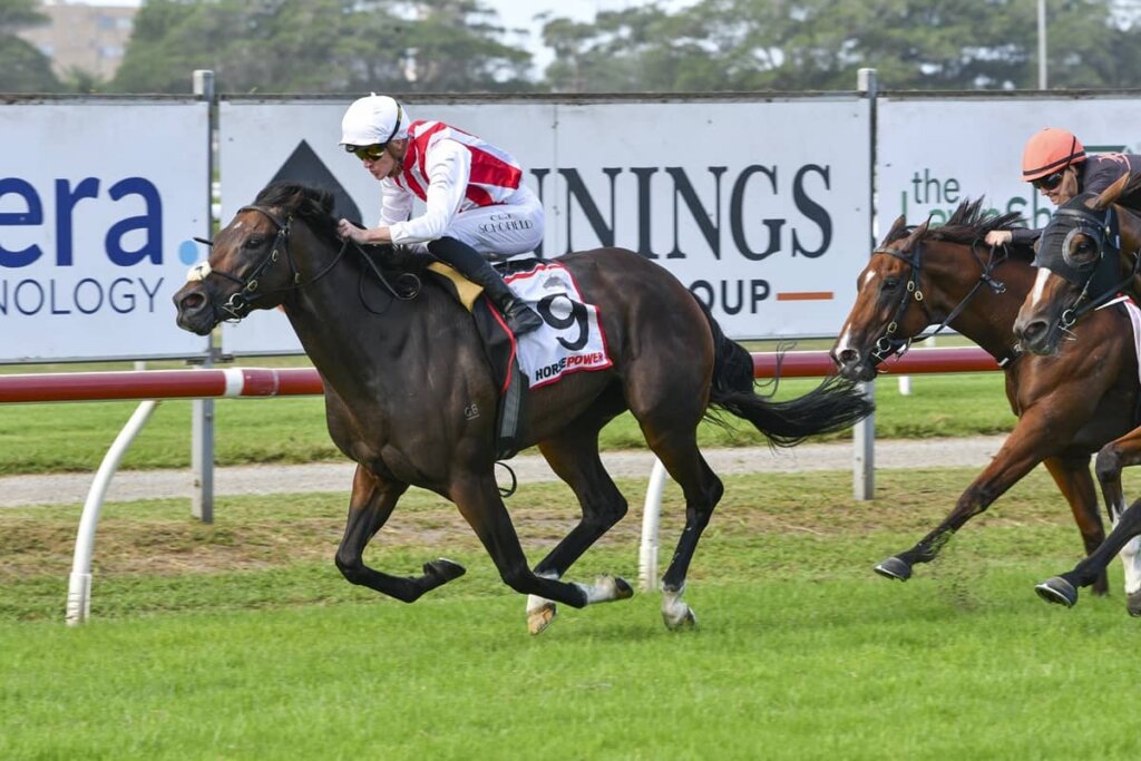 2026 Newcastle Stakes winner Tuileries