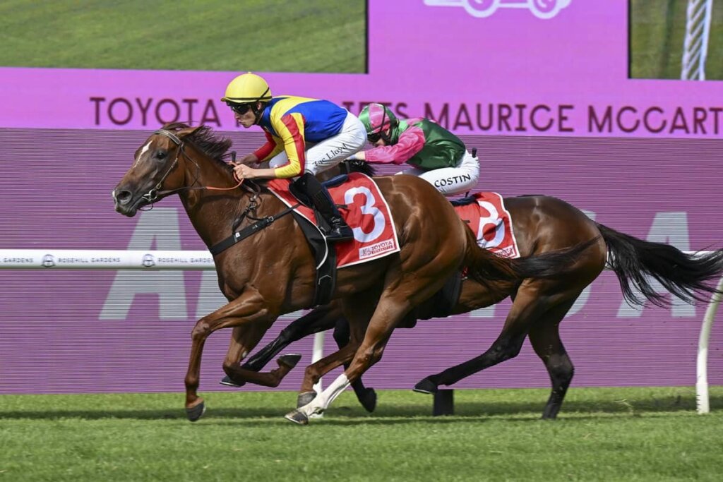 2026 Maurice McCarten Stakes winner Flying For Fun