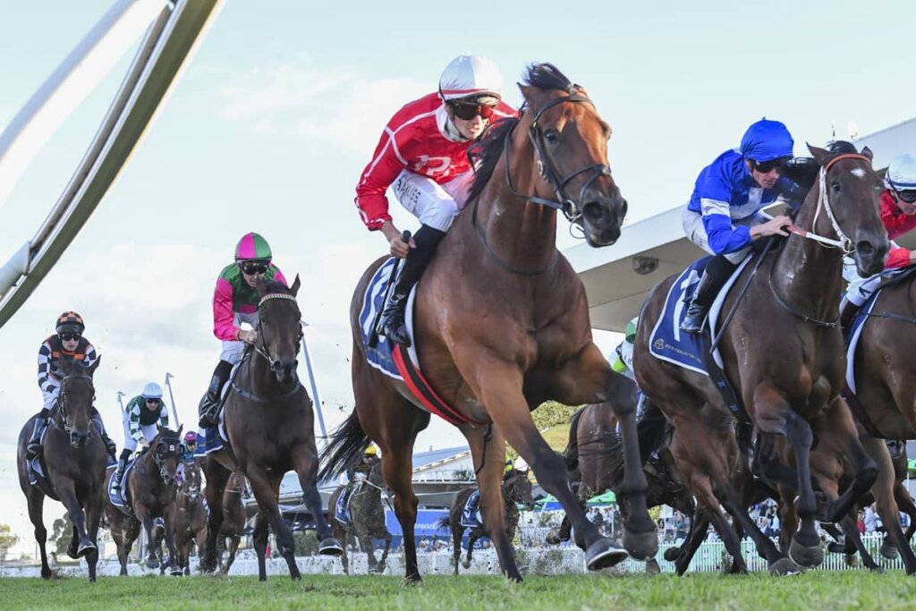 2026 Star Kingdom Stakes winner Roselyn's Star