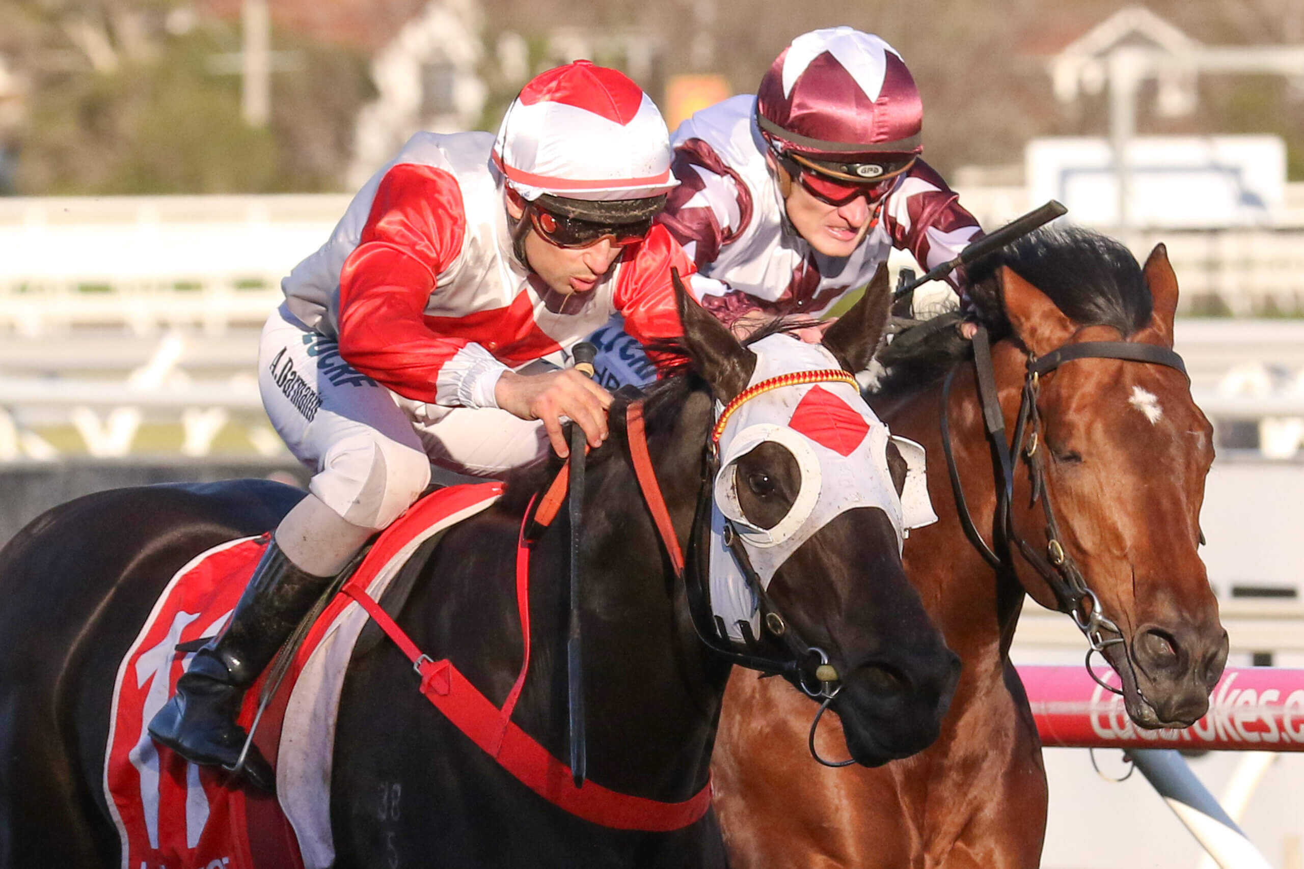 Ladbrokes Extends Partnership With Tasmanian Racing