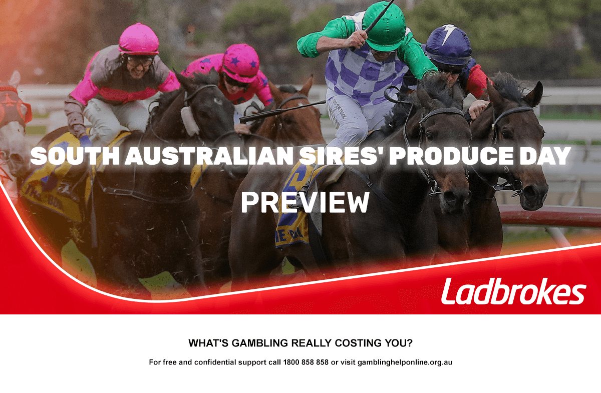 SA Sires' Produce Day Preview 2024