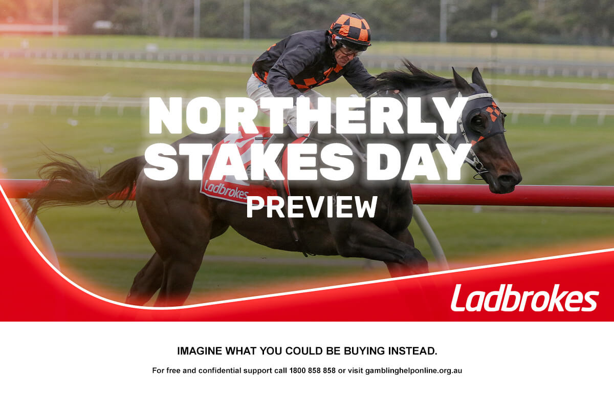 2024 Northerly Stakes Day Preview
