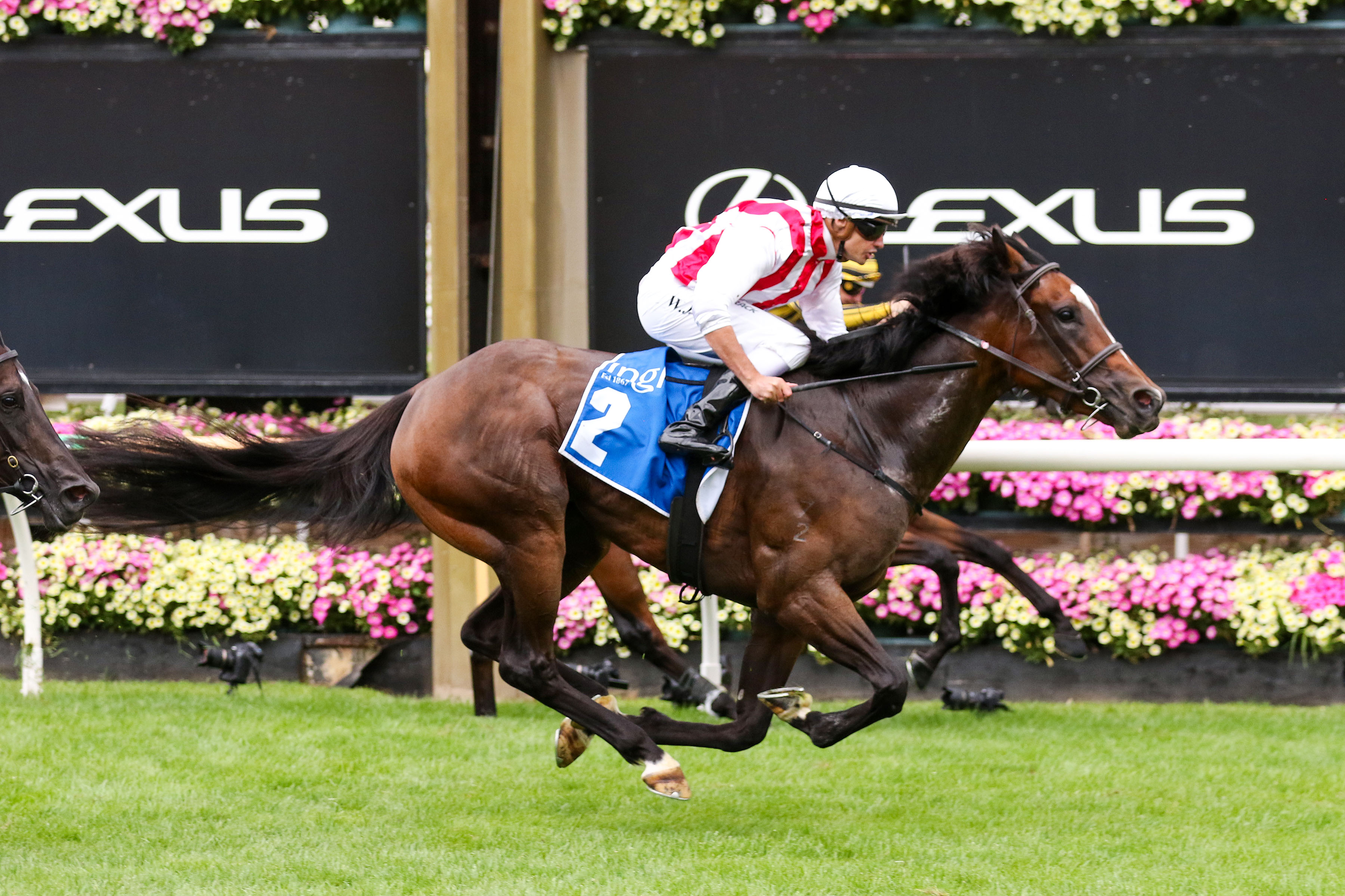 2026 Inglis Sprint winner Getta Good Feeling