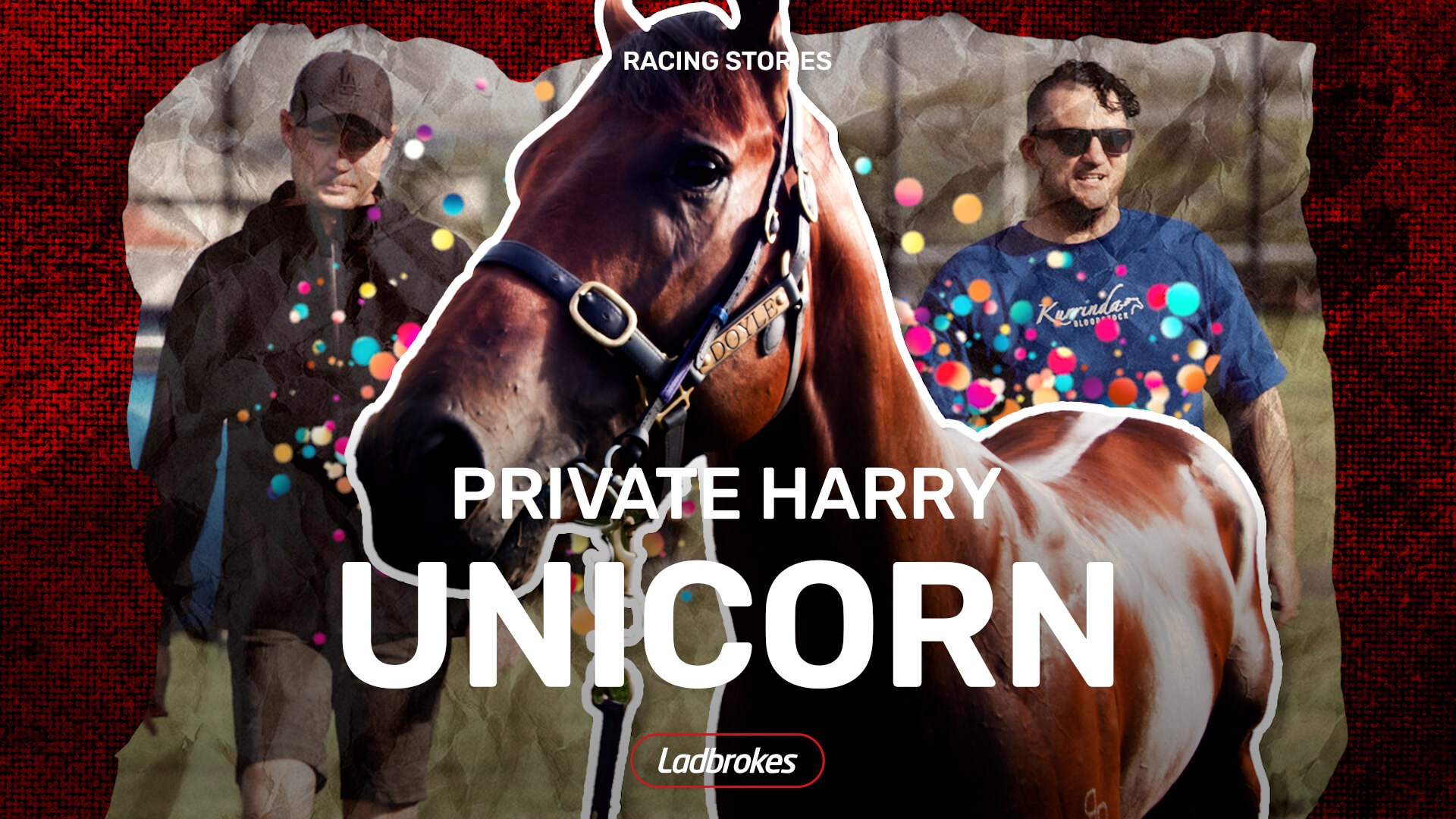 Private Harry Is A Unicorn