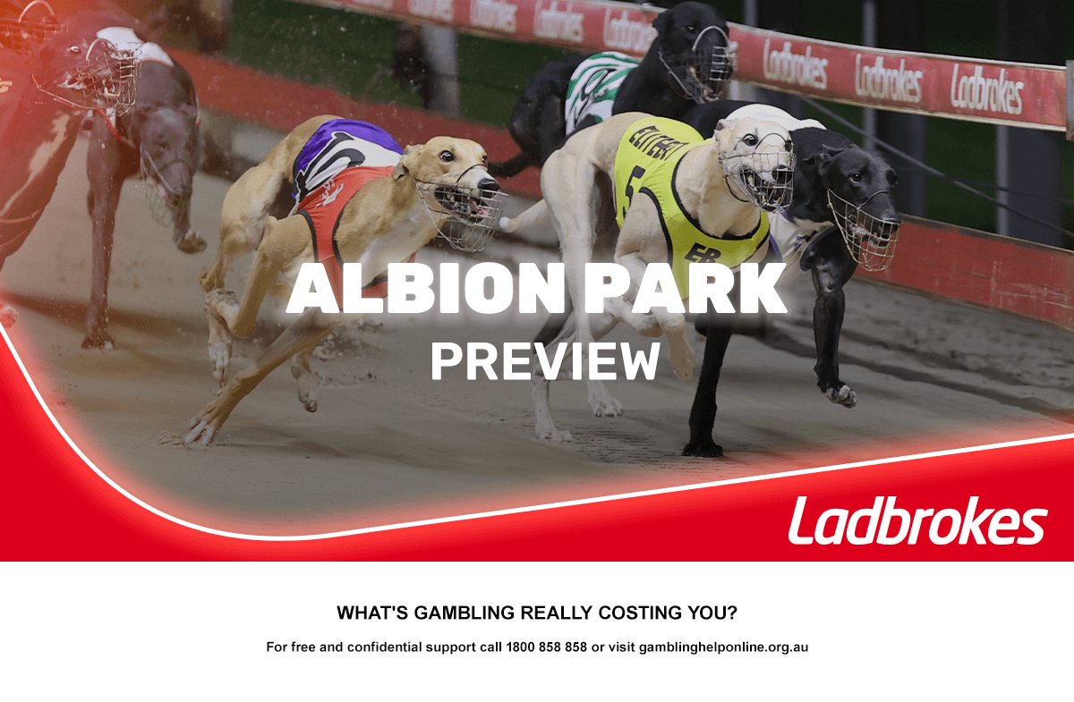 Albion Park Greyhounds Preview – Thursday 1st May