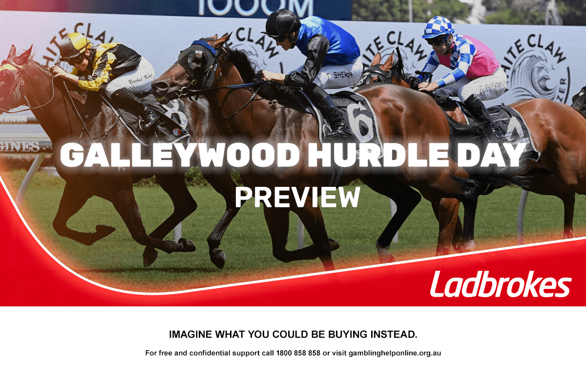 2025 Galleywood Hurdle Day Preview