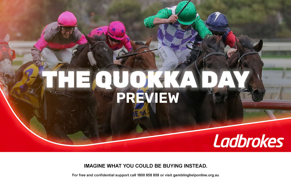 2025 The Quokka Day Preview
