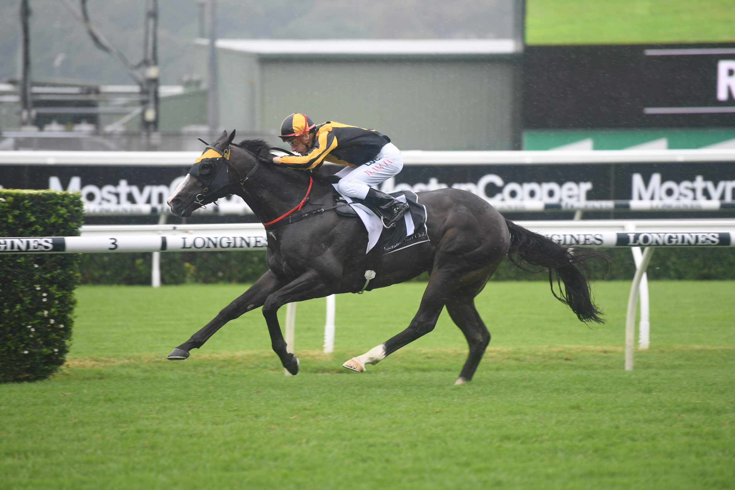 2025 All Aged Stakes - The Stats That Matter