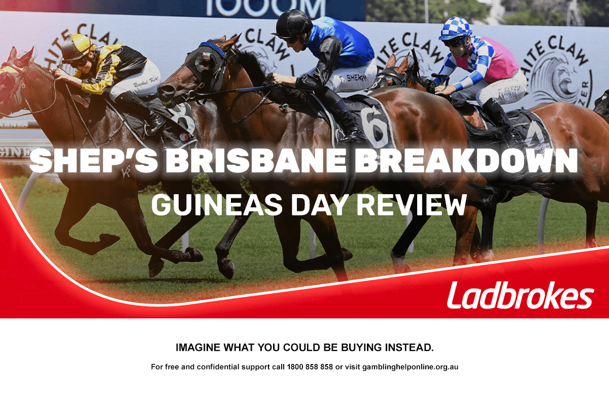 Shep’s Brisbane Breakdown: Queensland Guineas Day Review
