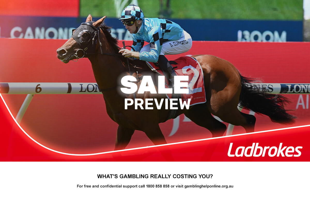 Sale Preview – Wednesday 25th June 