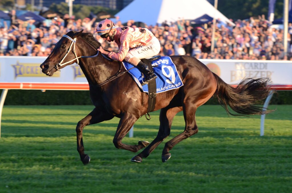 Flemington track specialist Black Caviar