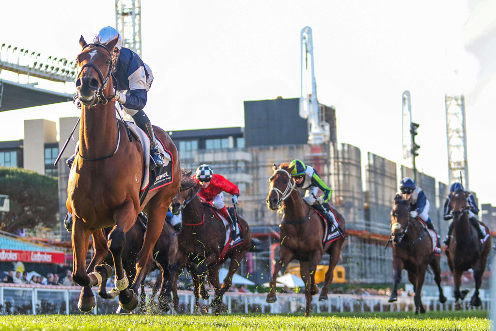 Melbourne Cup Horses Point King