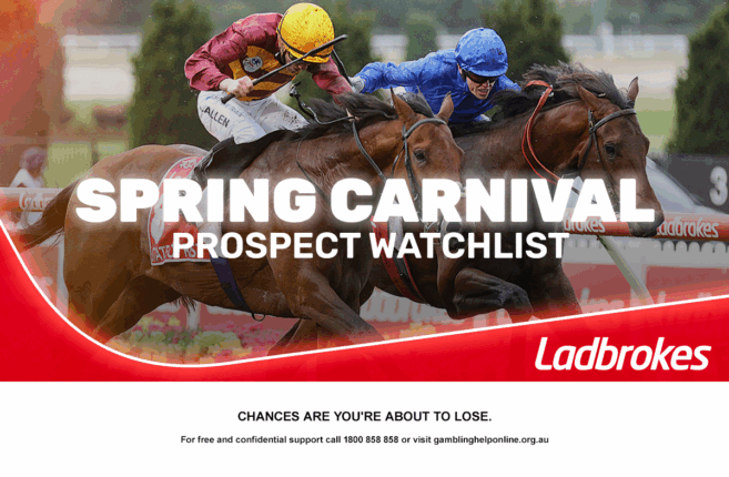 The Spring Prospect Watchlist: A Natural Ready to Go from Lady to Queen