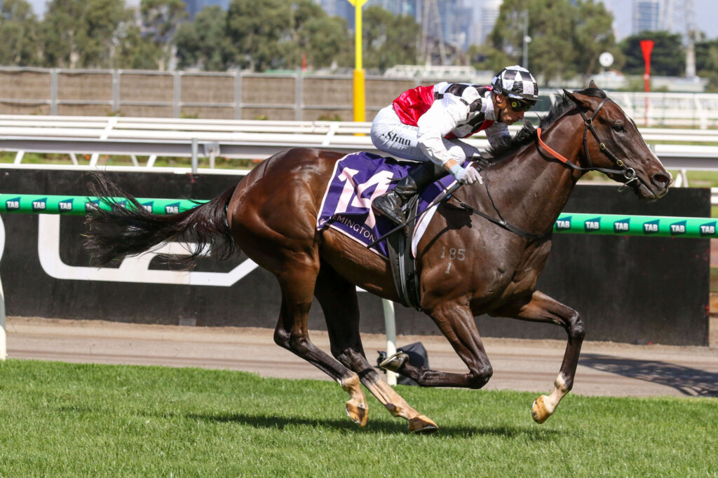 Cox Plate Long Shots: Sepals