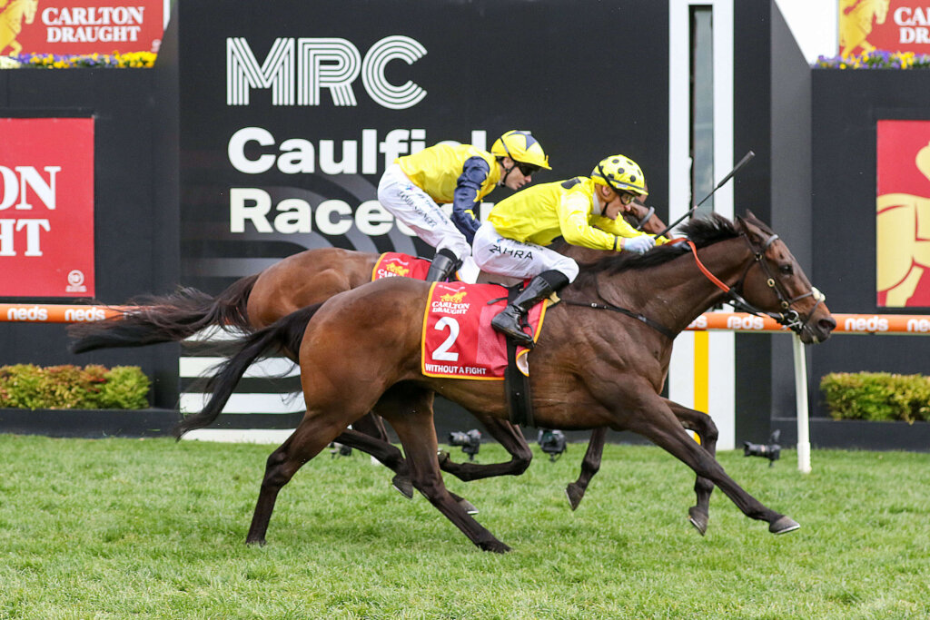2023 Caulfield Cup winner Without A Fight