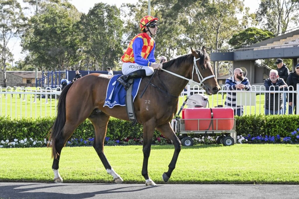 Cox Plate Long Shots: Autumn Boy