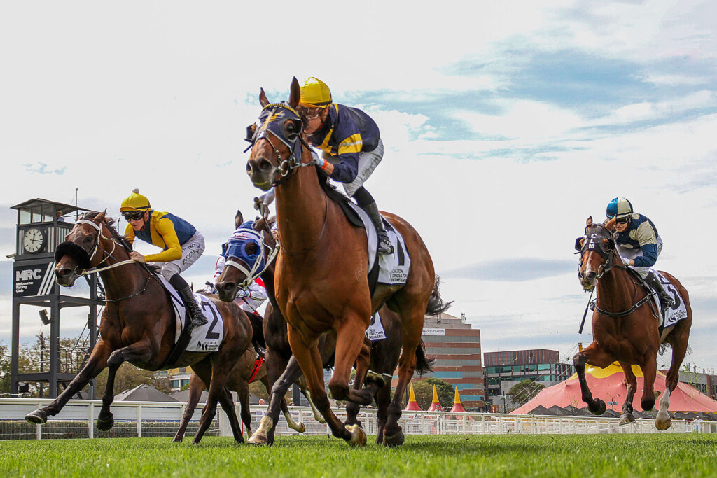 Long Shot Caulfield Cup Contenders Bankers Choice