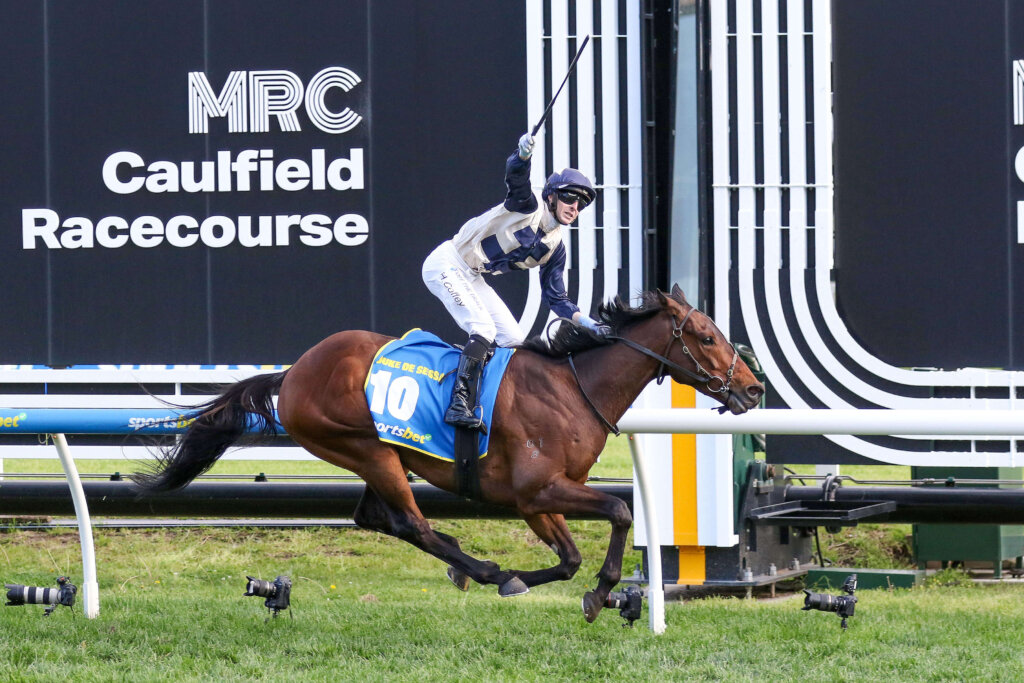 2024 Caulfield Cup winner Duke De Sessa