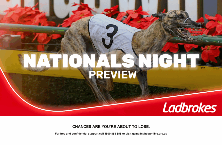 2025 Greyhound Nationals Night Preview 