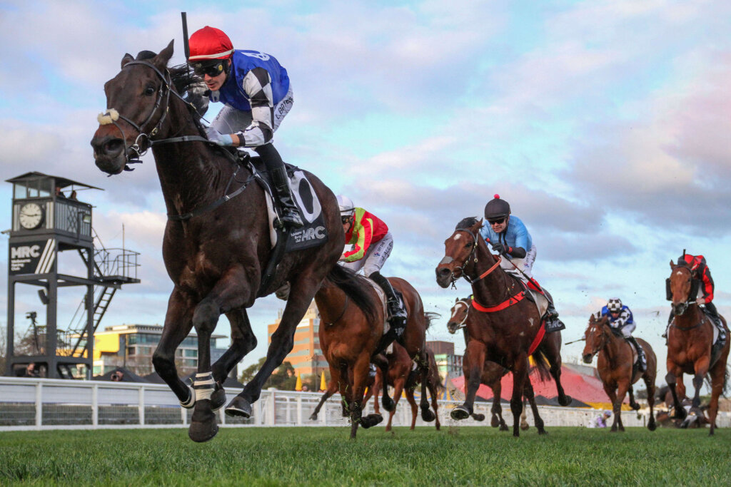 Long Shot Caulfield Cup Contenders: Sayedaty Sadaty