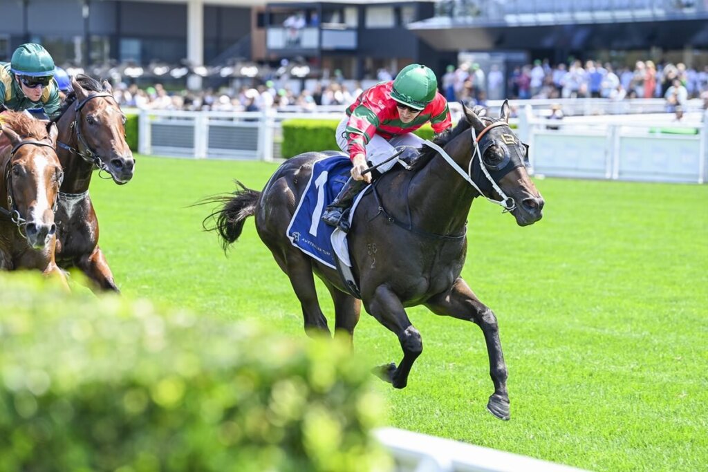Golden Rose Contenders: Rivellino