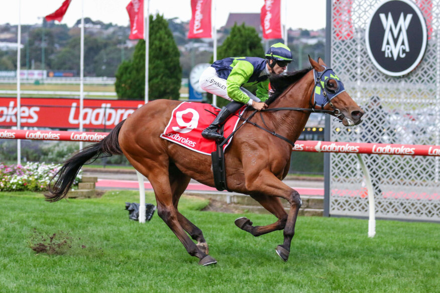 Daily Racing Tips