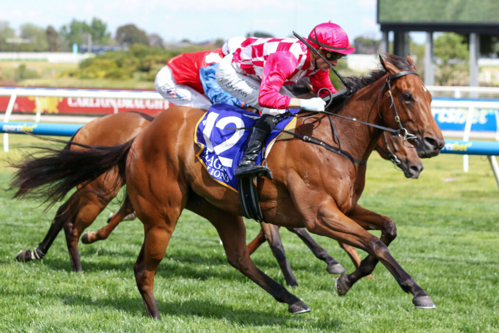 Caulfield Guineas Long Shots: Miss Celine
