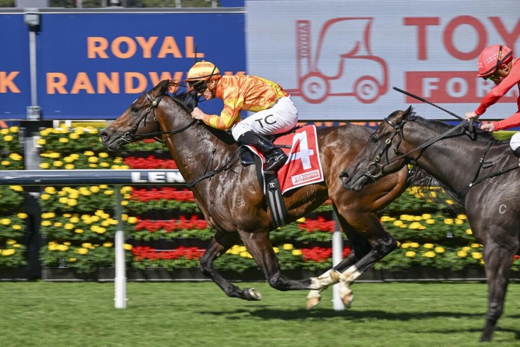 Golden Eagle Horses: Shangri La Spring