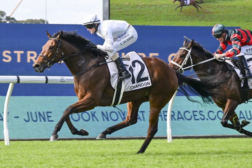 Spring Champion Stakes Contenders - Queen Of Clubs