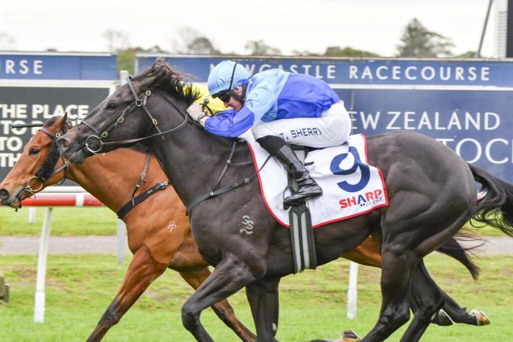 Caulfield Guineas Runners: Hillier