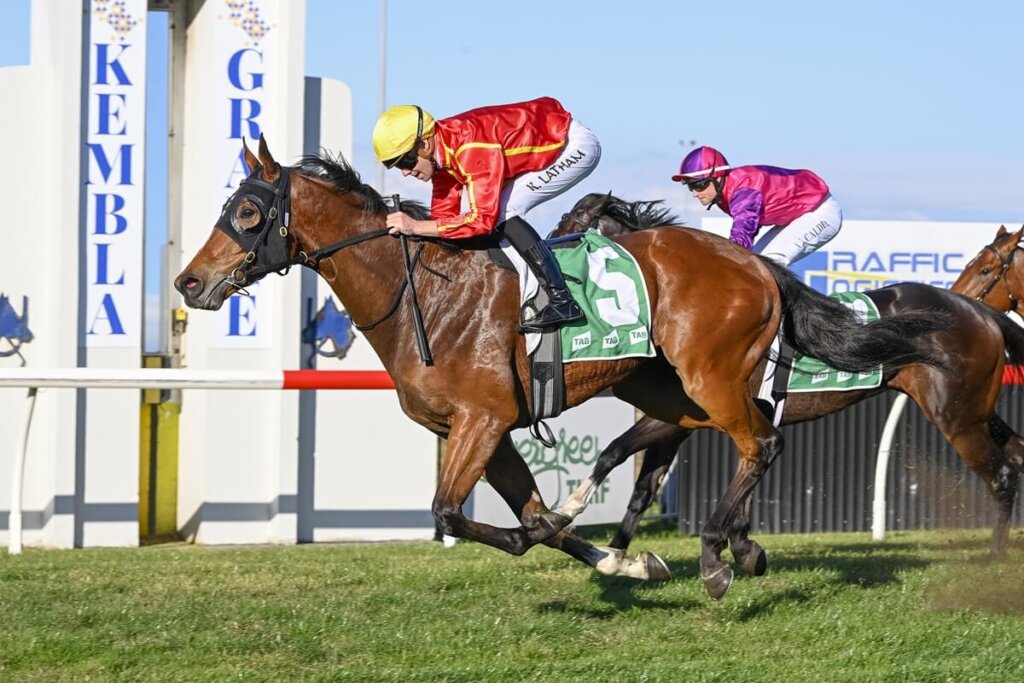 Spring Champion Stakes Contenders - San Giovanni