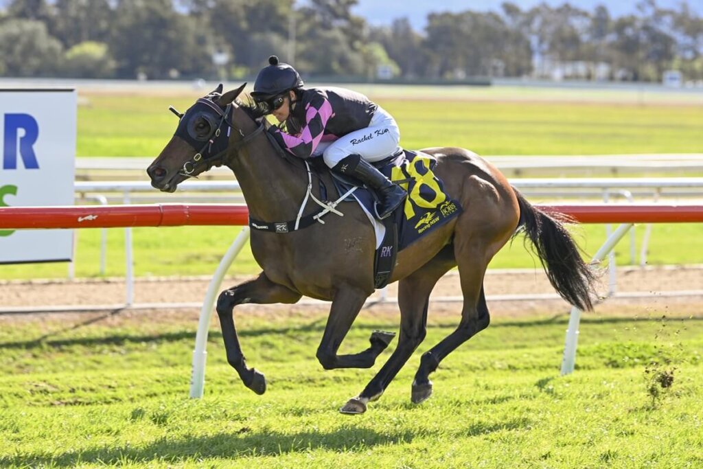 Spring Champion Stakes Contenders - Sheeza Diva