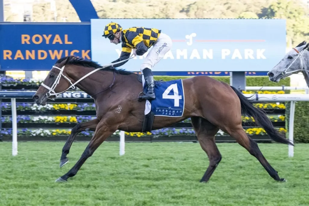 The Everest Contenders: Joliestar