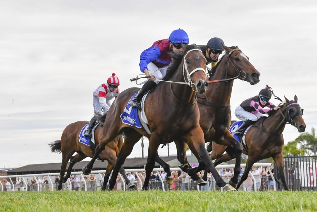 Spring Champion Stakes Contenders - Master Of The Air