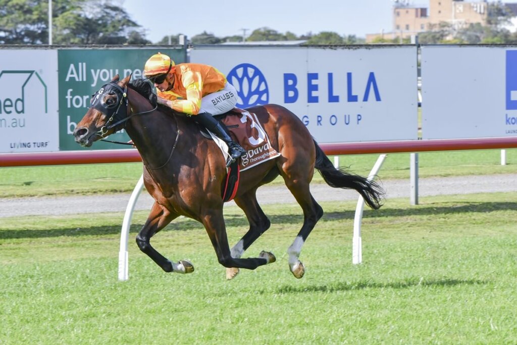 Spring Champion Stakes Contenders - Champagne Hero