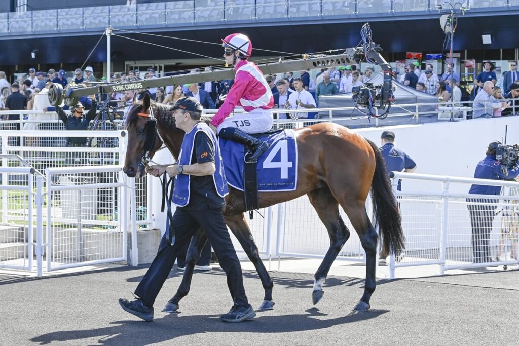 Spring Champion Stakes Contenders - Federalist