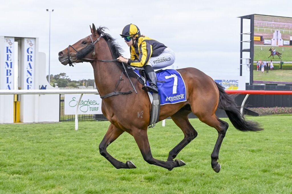 Spring Champion Stakes Contenders - Southern Prince