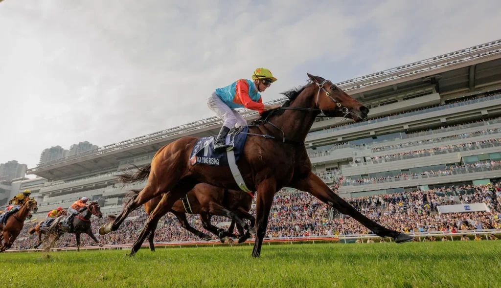 The Everest Contenders: Ka Ying Rising