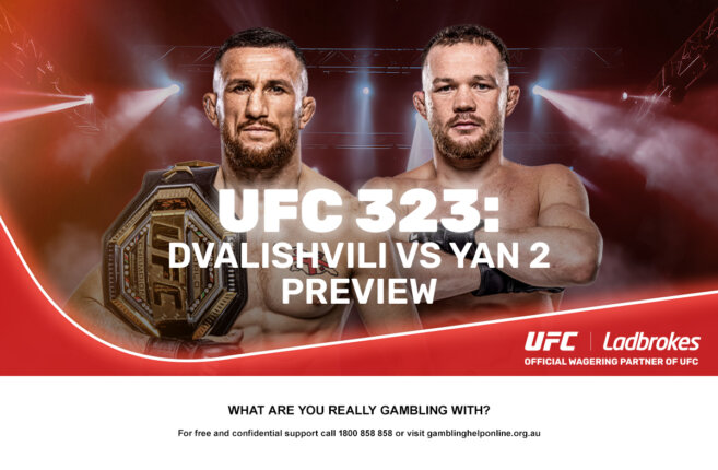 UFC 323: Dvalishvili vs Yan 2 Preview