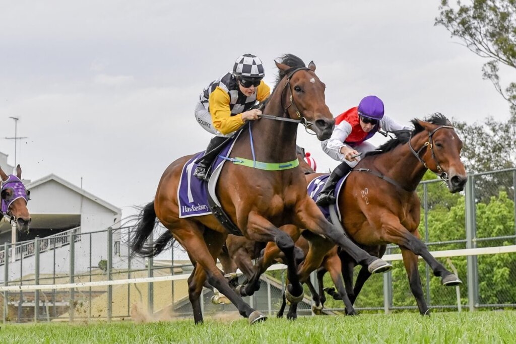 Hendo's Hopefuls: Saturday's Best Roughies - Ladbrokes Blog