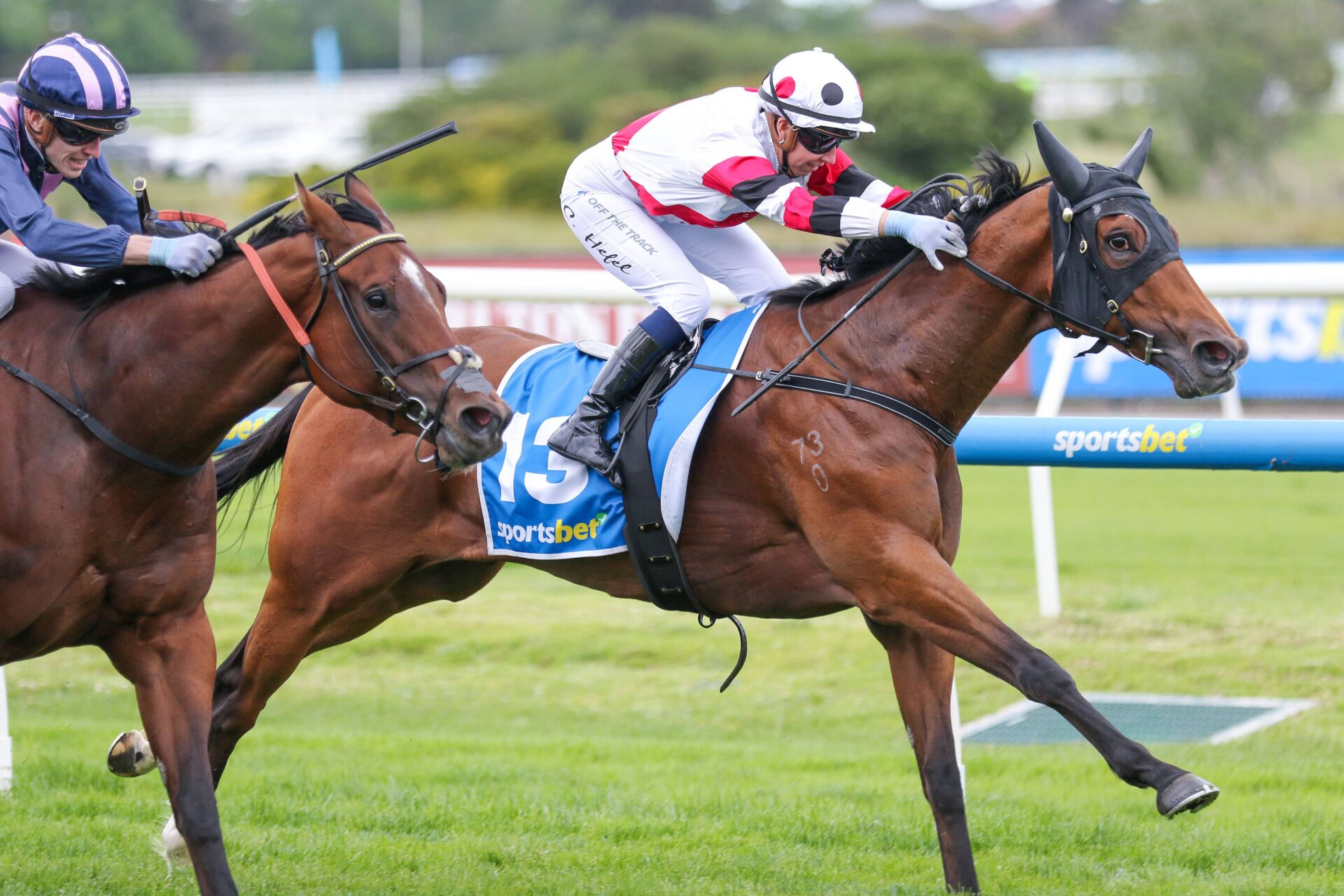 Hendo's Hopefuls: Saturday's Best Roughies - Ladbrokes Blog