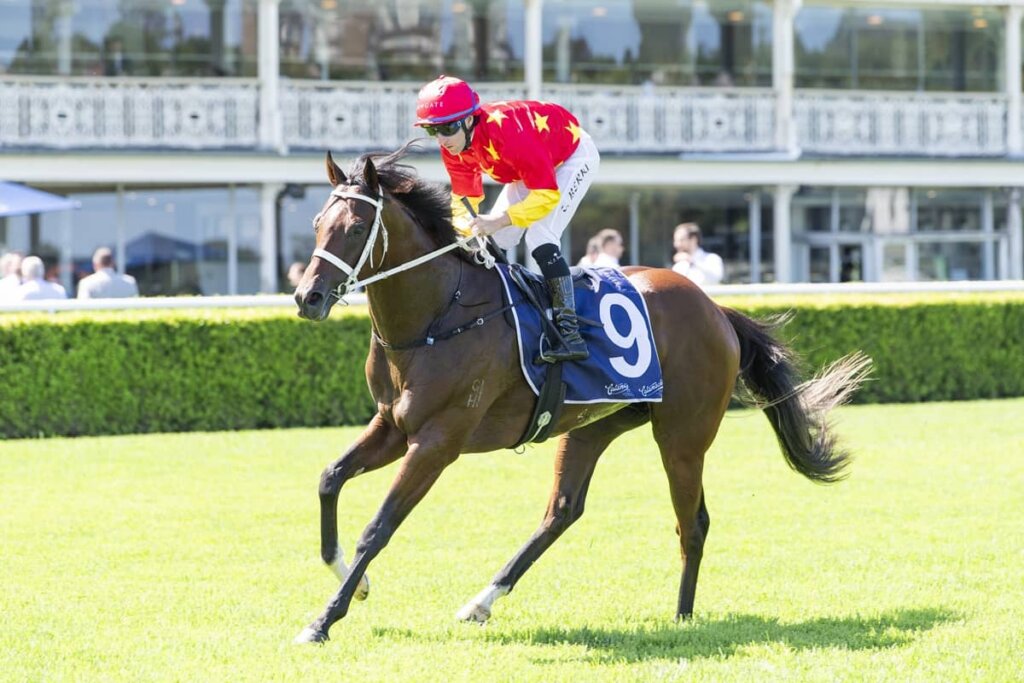 Golden Slipper Contenders: Campione D’italia