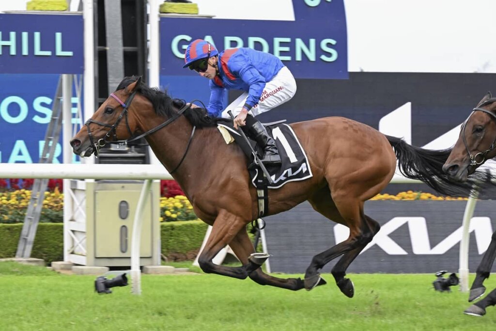2026 Queen Elizabeth Stakes Runners: Dubai Honour