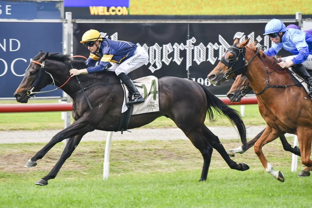 Saturday Roughies - Brave One