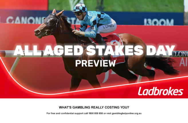 2026 All Aged Stakes Day Preview